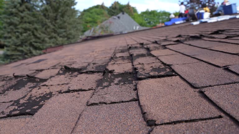 Best Roofing for New Construction  in Edisto, SC