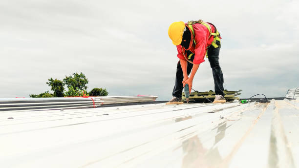 Best Roof Moss and Algae Removal  in Edisto, SC