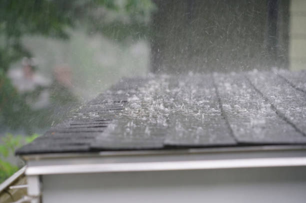 Best Storm Damage Roof Repair  in Edisto, SC
