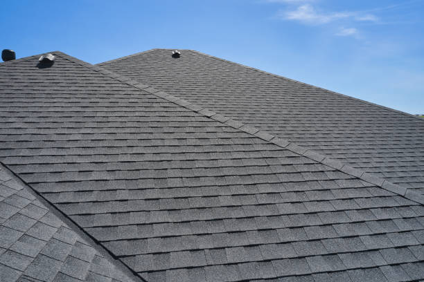Best Roof Coating and Sealing  in Edisto, SC